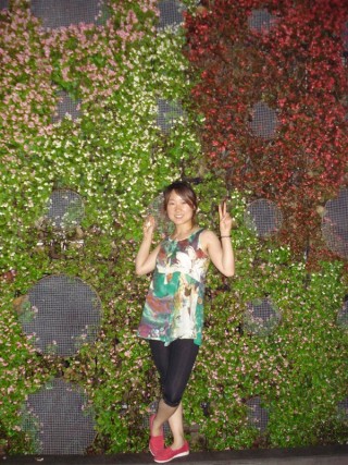 好先生烟雨青黛简谱