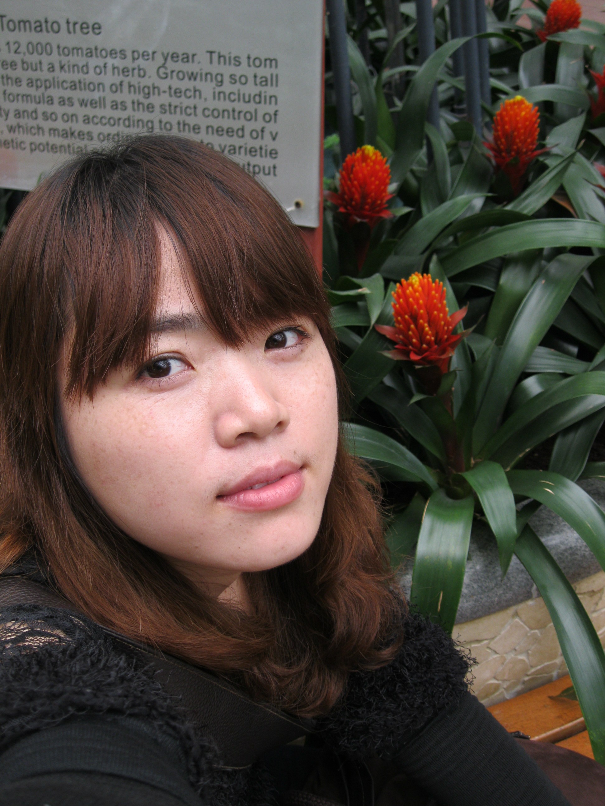 顾小北seo 真爱网