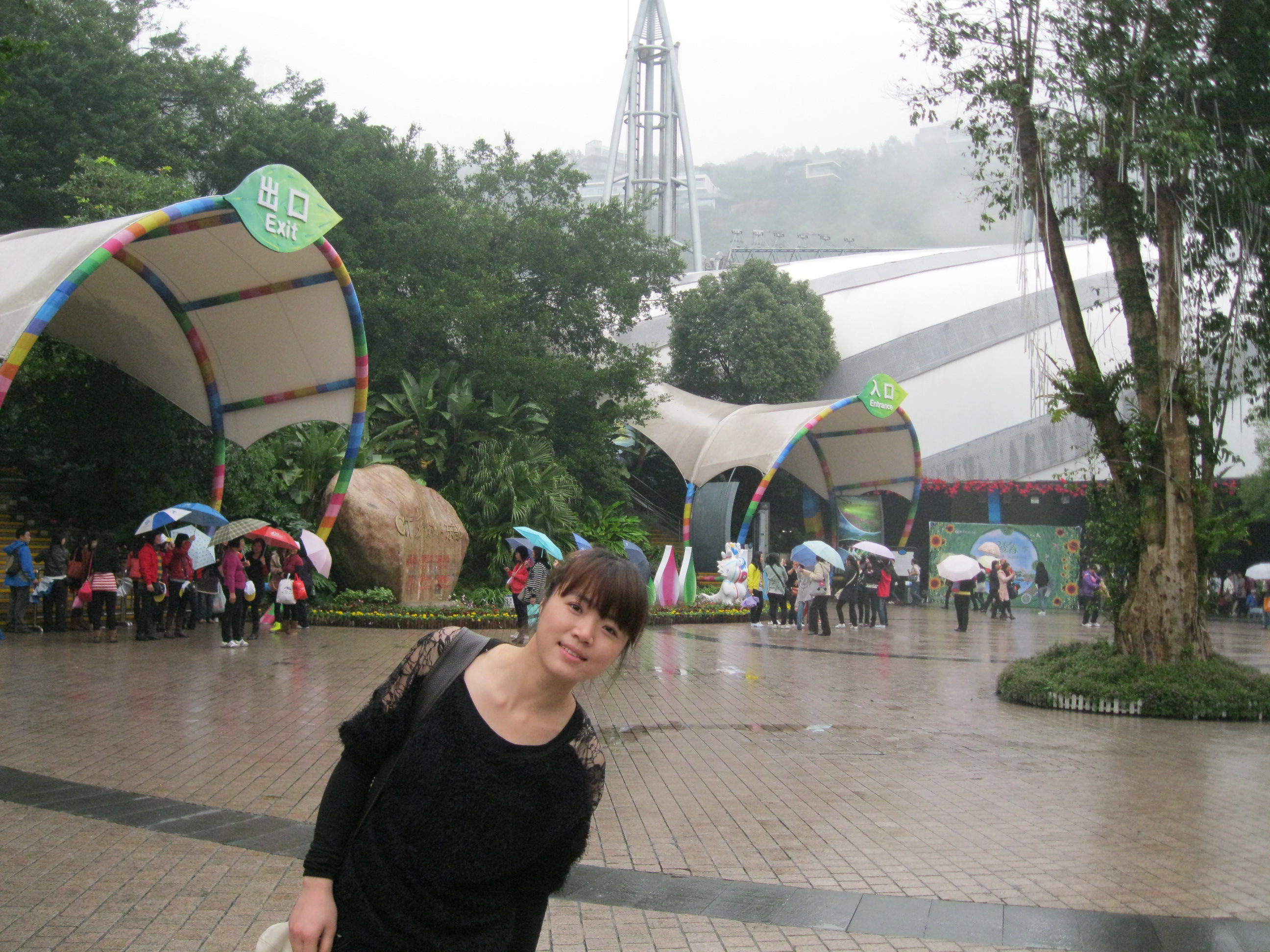 顾小北seo 真爱网